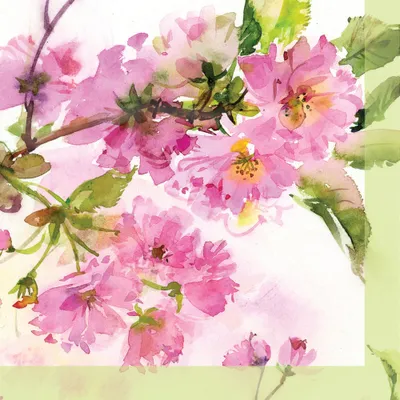 Immagine prodotto di PPD Pink Cherry Blossom Servietten, 20 Stück, Tischservietten, Tissue, Weiß / Bunt, 12.5 cm, 1251920