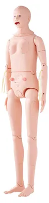 Krankenpflege-Übungspuppe, PVC, männlich/weiblich, 175 cm