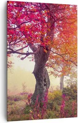 Produktbild von Bild auf Leinwand - Leinwandbild - Einteilig - Baum Natur Wiese - 80x120cm - Wand Bild - Wanddeko - Wandbilder - Leinwanddruck - Wanddekoration - Leinwand bilder - Wandbild - PA80x120-3658