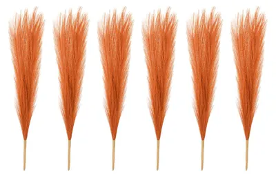 Künstliches Pampasgras 43 cm, 6 Stück, Orange für Wohnzimmer