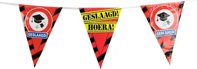 Produktbild von Paperdreams Parteiflagge - bestanden