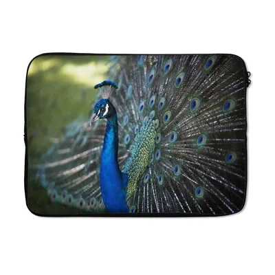 Produktbild von MuchoWow® Laptop Hülle 14 ZollPfau - Vögel - Blau Laptoptasche - Laptoptasche - Stoßsicher - Schutzhaube