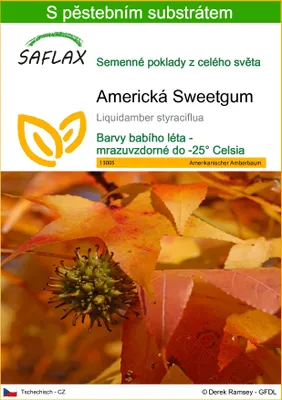 Obrázek produktu pro SAFLAX - Americká Sweetgum - Liquidamber styraciflua - 100 Semena - S pěstebním substrátem bez klíčků