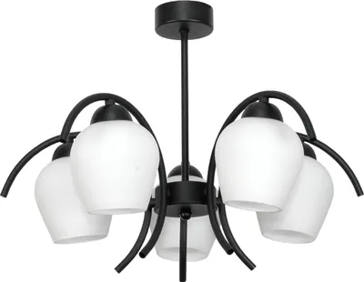 Produktbild von Deckenhängelampe Schwarz Glaslampe Weiss 15-320 Dani