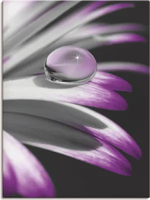 Produktbild von ARTland Leinwandbild Tropfen Größe: 45x60 cm