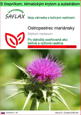 Obrázok produktu pre SAFLAX Garden to go - ostropestrec mariánsky - Silybum marianum - 75 Semená - S črepníkom, klimatickým vekom a pestovateľským substrátom