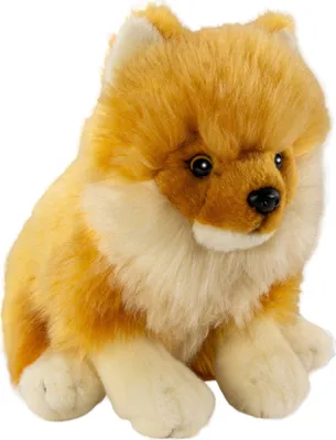A plush toy dog sitting on a white background.
