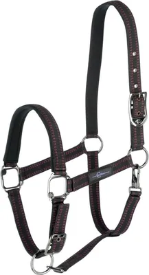 Immagine prodotto di Covalliero Cavezze per cavalli Royal Halfter Nero/Fucsia XFull