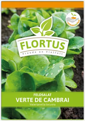 Produktbild von Feldsalat Verte de Cambrai | Feldsalatsamen von FLORTUS