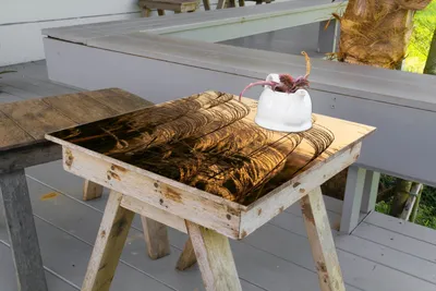 Produktbild von Wallario selbstklebende Möbelfolie/ Tischdecke für Innen und Außen, Größe: 70 x 70 cm - Schilf im Wind