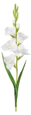 Produktbild von Künstliche Gladiolenblüte, realistische Seidenblume, Dekoration für Zuhause, Büro, Hochzeit, Party, drinnen und draußen