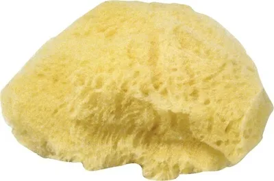 Produktbild von Naturschwamm Set Grass, fein- und gross