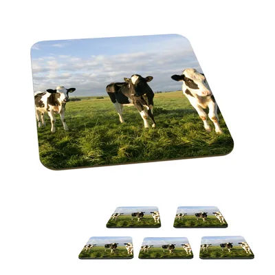 Produktbild von KitchenYeah® Glasuntersetzer Quadratisch 6er Set Kuh - Sonne -Tier 10x10 cm Untersetzer für Gläser - Getränkeuntersetzer - Tischplattenschutz - Tischuntersetzer für Tassen Tisch Bar Glas