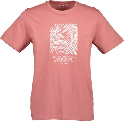 Produktbild von Blue Seven Herren T-Shirt mit modischen Frontprint - Kurzarm-Shirt aus Baumwolle in Ziegel Größe 3XL