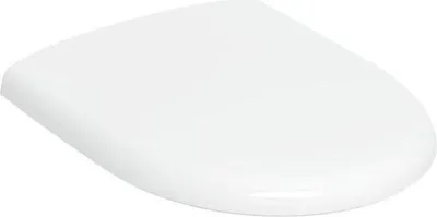A white toilet seat is shown from a slightly elevated side angle against a white background.