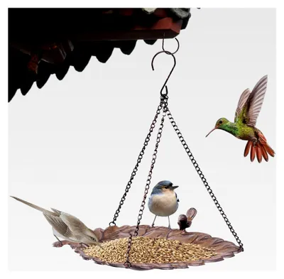 Produktbild von Vogelbad Schale - Gartenvogel Badschale - Wasser- und Futterstelle für Wildvögel mit Ketten für Garten und Rasen