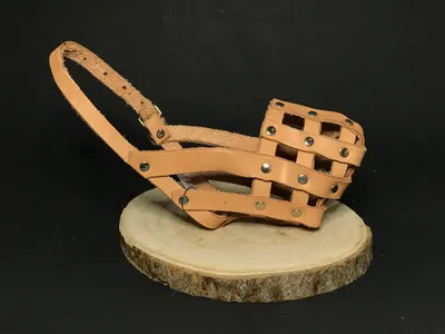 Image de Muselière en cuir de Palkar pour chiens taille 1 20 cm x 6 cm naturel