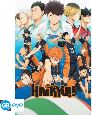 Obrázek produktu pro Haikyu!! Plakát: (91,5 x 61 cm)