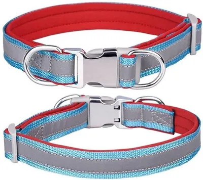 Immagine prodotto di Collare in neoprene e acciaio – Riflettente – Adatto a cani di piccola e media taglia – Taglia S (26-42 cm)