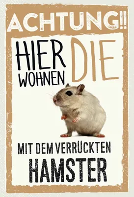 Produktbild von vianmo Holzschild 30x20 cm Tiere Achtung hier Hamster