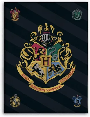 Produktbild von Harry Potter Hogwarts Wappen Fleecedecke 100 x 140 cm