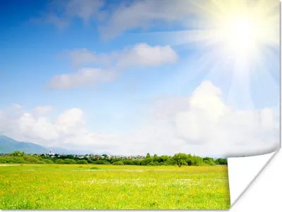 Produktbild von MuchoWow® Poster Sommer - Sonne - Feld 160x120 cm - Foto Plakat