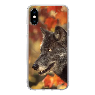 Produktbild von MuchoWow® Handyhülle Schutzhülle Hülle für iPhone X Wolf - Nahaufnahme - Blätter Silikon Softcase Handy Hülle - Handyhülle