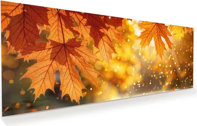Produktbild von Glasbild 125x50cm in XXL für Wohnzimmer, Schlafzimmer Motiv Herbstblätter