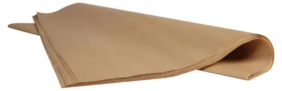 Image de Rhodia papier kraft 60g 1x0.7m 25Bg h'brun