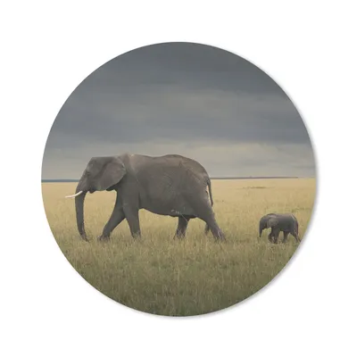 Produktbild von MuchoWow® Mauspad Mousepad Elefant - Savanne - Tiere - Natur 20x20 cm - Mousepads - Maus Mat - Pad - Mausunterlage - Schreibtischmatte