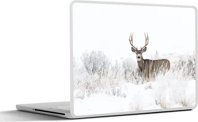Produktbild von MuchoWow® Laptop Aufkleber Sticker Cover Hirsche - Winter - Schnee - Tiere - Jahreszeiten - Weiß 30x22 cm - Laptop-Sticker