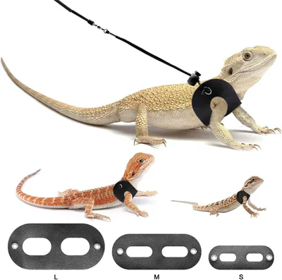 Produktbild von Bartagamen Geschirr und Gürtel Verstellbares Echsen-Reptilgeschirr aus Leder für Amphibien und andere Kleintiere (S,M,L,3 Stück)