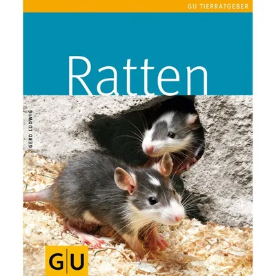 Produktbild von Ratten