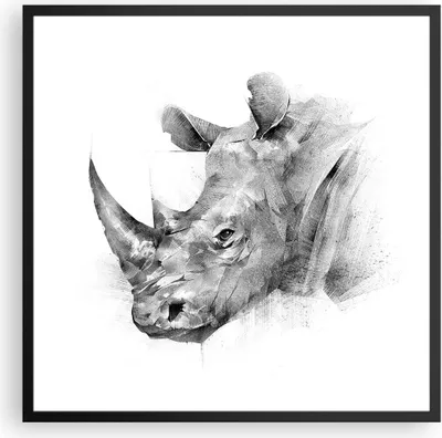 Produktbild von Gerahmtes Poster - Schwarzer Rahmen - Nashorn Porträt Grafik - 60x60 cm - Wand Bild - Wanddeko - Wandbilder - Kunstposter - Wandposter - Bilderrahmen - Bilder - Kunstdruck - P2BAC60x60-4378