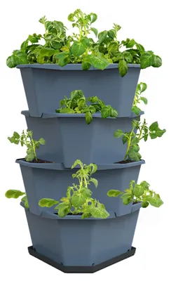 Artikelbild 1 von 'PAUL POTATO Kartoffelturm Starter Set blau (4 Etagen)'