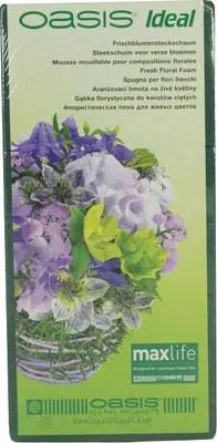 Produktbild von OASIS® Ideal Nass-Steckmasse Ziegel Damir, grün, 23x11x7,5cm - Nasssteckschwamm