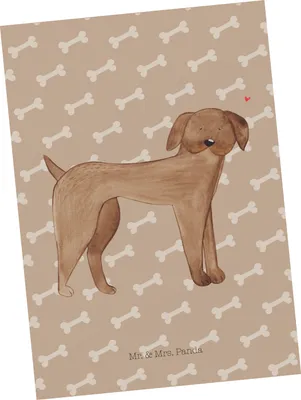 Produktbild von Mr. & Mrs. Panda Postkarte Hund Dogge - Hundeglück - Geschenk, Postkarten, Ansichtskarten, Süß, bildkarte, Ansichtskarte, Herz, einzelkarte, Sprüche, Deutsche