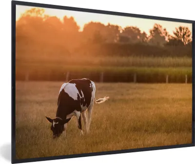 Produktbild von MuchoWow® Gerahmtes Poster Kuh - Sonne - Tiere 90x60 cm - Poster mit Schwarzem Bilderrahmen Wandposter Rahmen Foto Bilder - Fotorahmen - Foto-Plakat