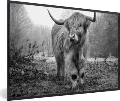 Produktbild von MuchoWow® Gerahmtes Poster Schottische Highlander - Natur - Herbst - Tiere - Wildtiere - Wald 90x60 cm - Poster mit Schwarzem Bilderrahmen Wandposter Rahmen Foto Bilder - Fotorahmen - Foto-Plakat