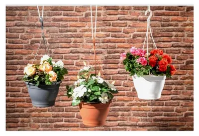 Produktbild von Hängetopf für Pflanzen - Farbe: Weiß - Blumenampel mit Untersetzer Ø 25 cm