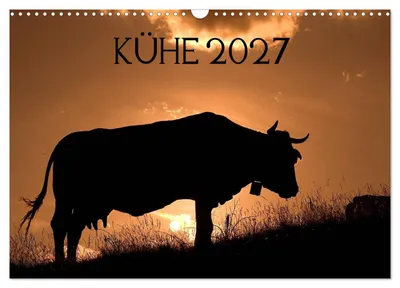 Produktbild von Kühe 2027 (Wandkalender 2027 DIN A3 quer), CALVENDO Monatskalender