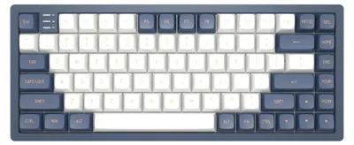 Image de Dark Project KD83A Ivory/Navy RGB 75% clavier mécanique gaming - G3MS Sapphire Switches, PBT