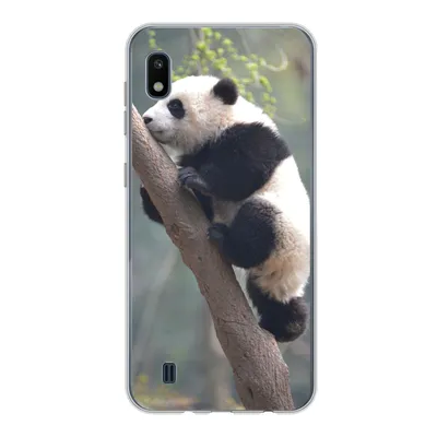 Produktbild von MuchoWow® Handyhülle Schutzhülle Hülle für Samsung Galaxy A10 Panda - Tier - Baum Silikon Softcase Handy Hülle - Schutzhülle