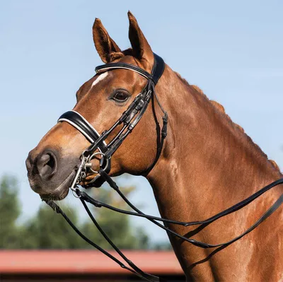 Image de Acavallo Giocanda Trense Schwarz Full