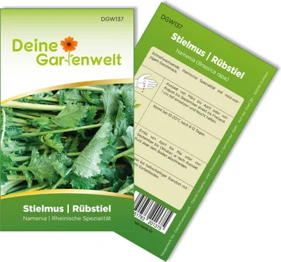 Produktbild von Stielmus | Rübstiel Namenia Samen - Brassica rapa -Stielmussamen - Gemüsesamen - Saatgut für 1.000 Pflanzen