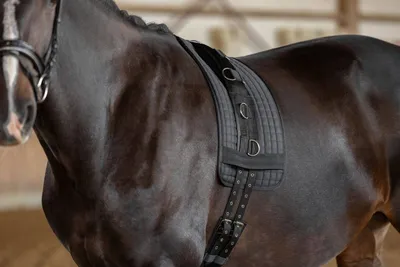 Produktbild von Kerbl Longiergurt Schwarz Pony 32354