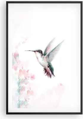 Produktbild von Gerahmtes Poster - Schwarzer Rahmen - Kolibri Aquarell Licht - 61x91,5 cm - Wand Bild - Wanddeko - Wandbilder - Kunstposter - Wandposter - Bilderrahmen - Bilder - Kunstdruck - P2BPA61x91-4518