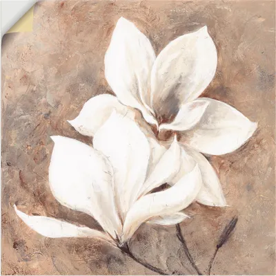 Produktbild von ARTland Wandbild, selbstklebend Klassische Magnolien Größe: 50x50 cm