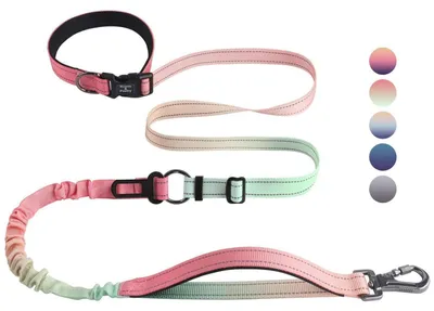 Immagine prodotto di Guinzaglio elastico per cani, resistente, che impedisce il tirare, con fissaggio a cintura di sicurezza per auto, lunghezza da 1,2 a 1,8 metri