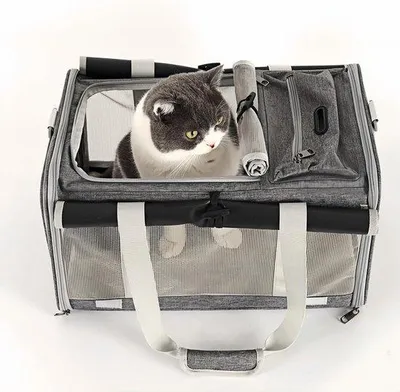 Produktbild von Große Tragetasche für Katzen, Hunde und Welpen bis 8 kg, Katzenbox, Hundetrage mit sicheren Reißverschlüssen und Schultergurt, atmungsaktive, faltbare Tragetasche